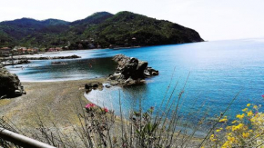 OASI FELICE